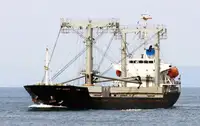 FOR SALE: 7,400 DWT Geared General Cargo 2000 Japan Built – Class Surveys Just Passed + BWTS | CM1172