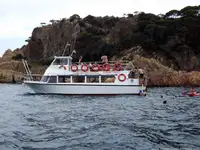 1987 Commercial Snorkelling Day Cruiser Fishing Boat